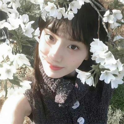 缉凶双宝
